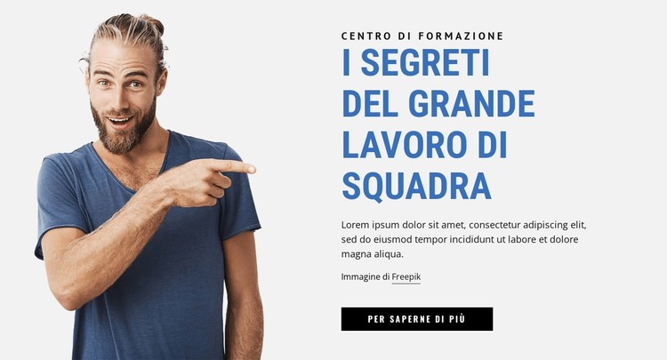 I segreti del grande lavoro di squadra Modello CSS