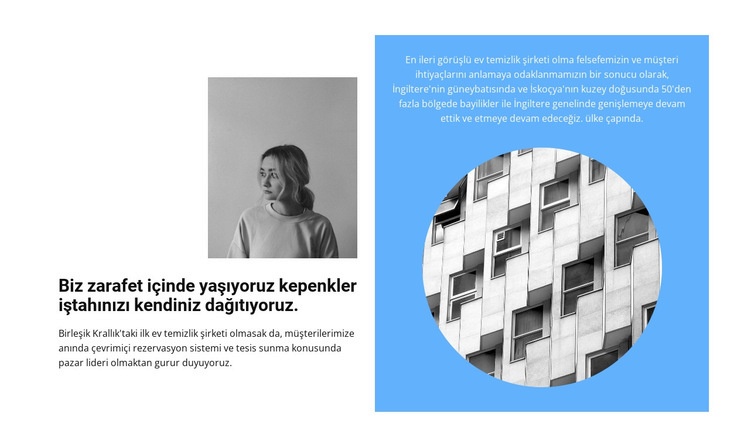 Aşamalarda iş geliştirme Web Sitesi Mockup'ı