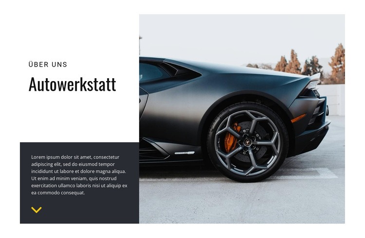 Autopflege-Service Website-Modell