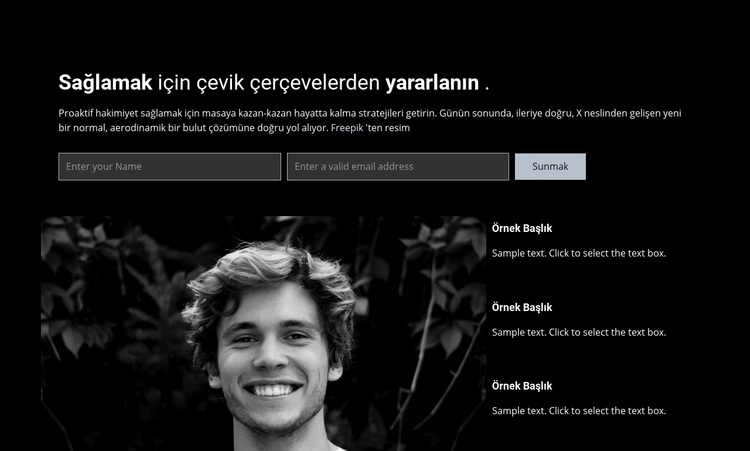 Bize bir soru sorun WordPress Teması