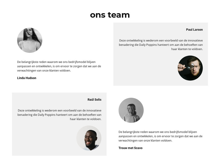 In het team geslaagd WordPress-thema