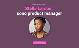 Informazioni Sul Product Manager Modello Di Casella Flessibile