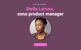 Informazioni Sul Product Manager - Modello Web