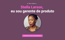 Sobre O Gerente De Produto - Modelo Da Web