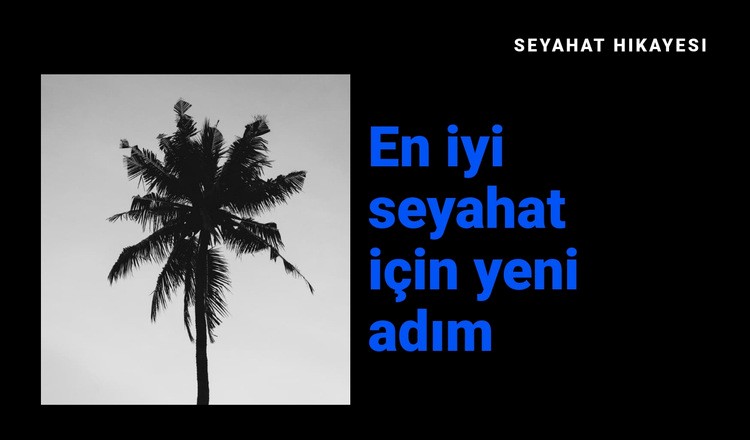 Seyahat hikayesi Açılış sayfası