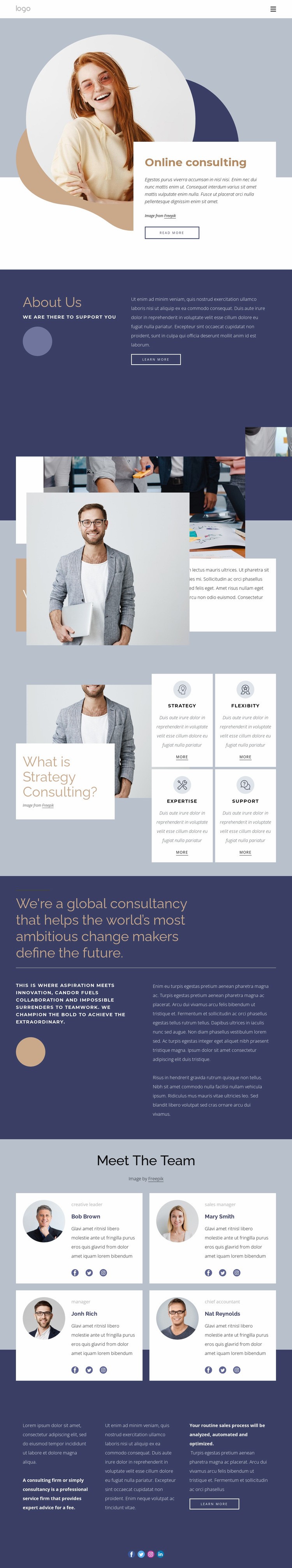 Financial consulting services Homepage Design