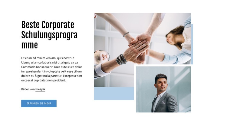 Beste Corporate Business-Programme Website-Modell