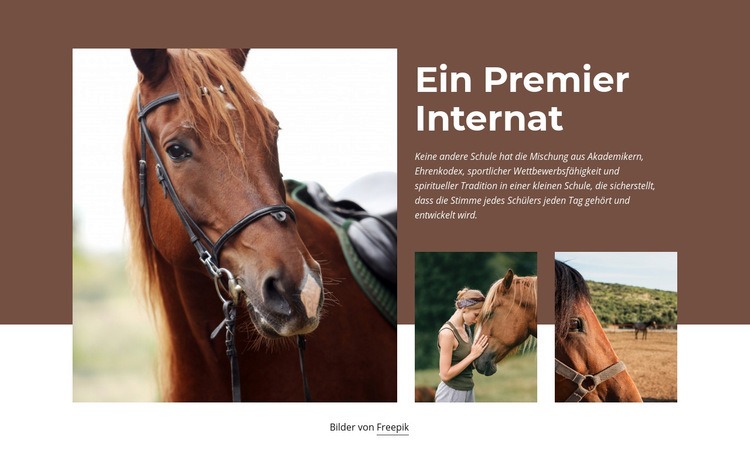 Ein Premier Internat Website design