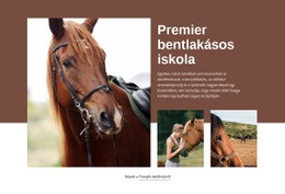 Premier Bentlakásos Iskola - Sablonok Webhelytervezés