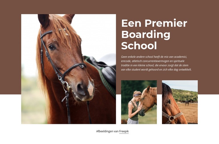 Een Premier Boarding School Website ontwerp