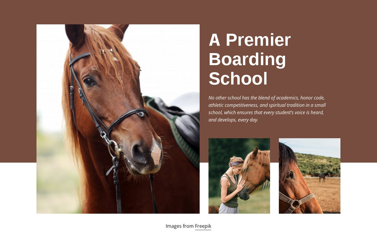A Premier Boarding School One Page Template