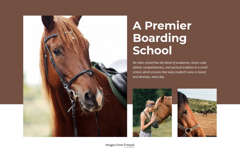 A Premier Boarding School Squarespace Template Alternative