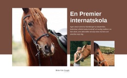 En Premier Internatskola Wordpress -Teman