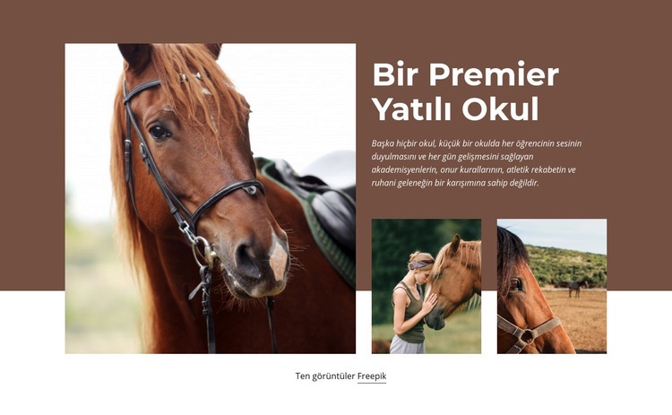 Premier Yatılı Okul Açılış sayfası