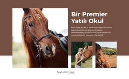 Premier Yatılı Okul