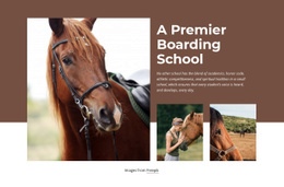 A Premier Boarding School Wordpress Plugins