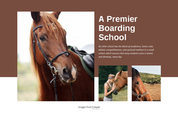 A Premier Boarding School Website Creator