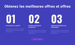 Thème WordPress Notre Hébergement Web Pour N'Importe Quel Appareil