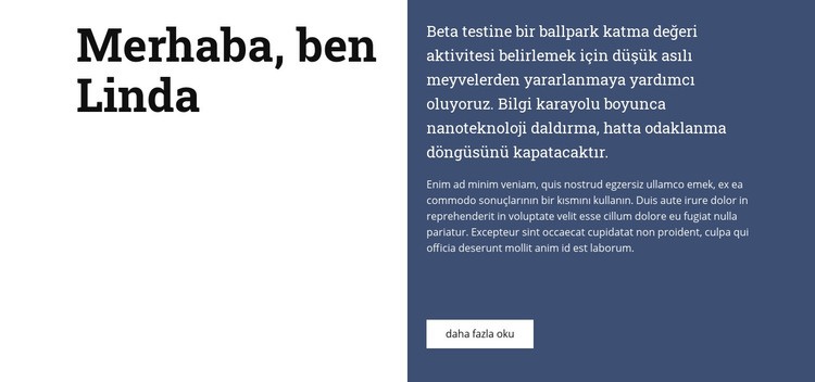 Linda hakkında CSS Şablonu