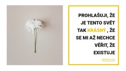 Krásné Věci - Vestavěná Funkce Cms