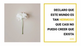 Cosas Hermosas - Diseño De Sitio Web Adaptable