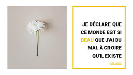 Belles Choses - Site Avec Téléchargement De Modèles HTML