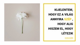 Csodálatos Dolgok - Webhely HTML-Sablon Letöltéssel