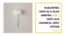 Csodálatos Dolgok – Testreszabható Sablon