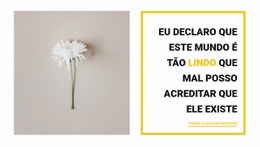 Coisas Bonitas - Modelo Customizável