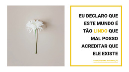 Coisas Bonitas - Funcionalidade De Cms Integrada