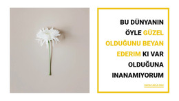 Güzel Şeyler - HTML Şablonunun Indirildiği Site