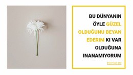 Güzel Şeyler - Duyarlı Web Sitesi Tasarımı