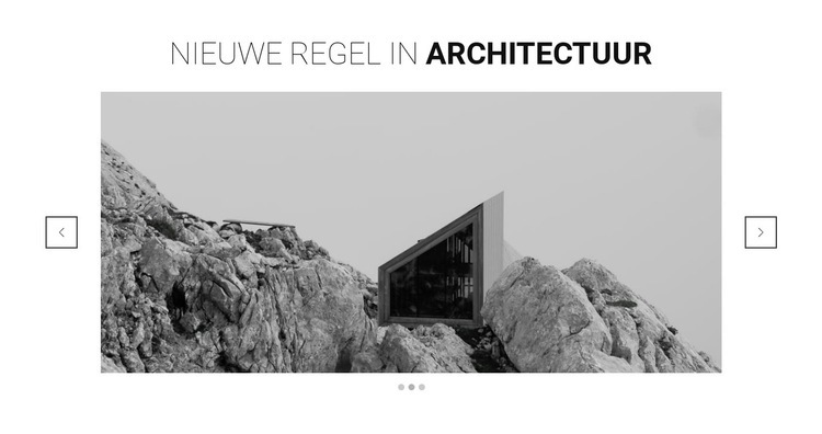 Nieuwe lijn in architectuur Website ontwerp