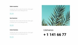 Llámanos - Diseño Web Polivalente