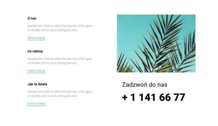 Zadzwoń do nas Szablon HTML