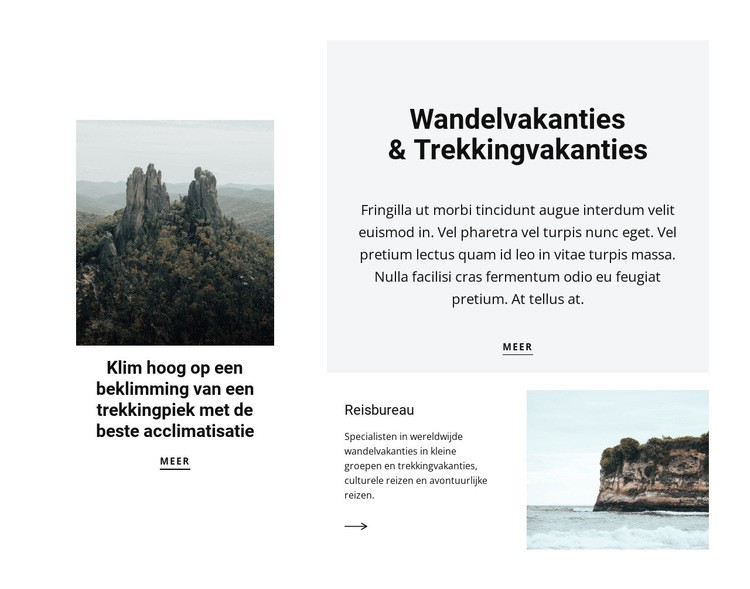 Wandelen in de lucht Website mockup