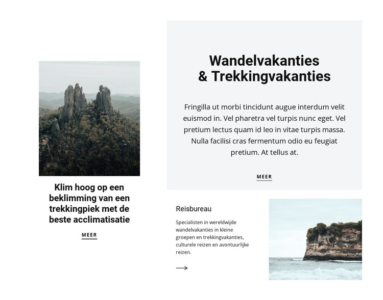 Wandelen in de lucht Website ontwerp