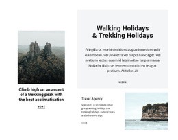 Premium Web Page Design For Walking In The Air