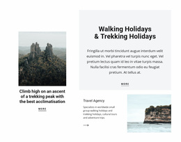 Walking In The Air Website Design