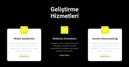 Geliştiriciler Yardımcı Olabilir - WordPress Temasını Kullanmaya Hazır