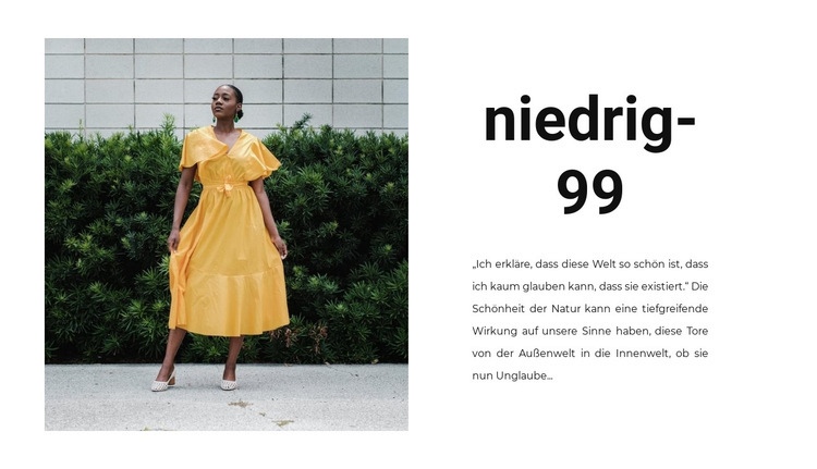 Sommerkleider Website-Modell