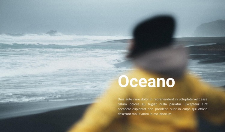 Riva dell'oceano Mockup del sito web