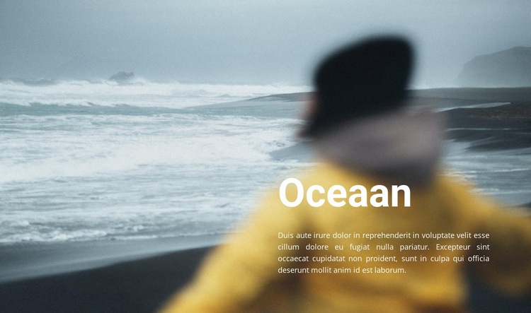 Oceaan kust Website ontwerp