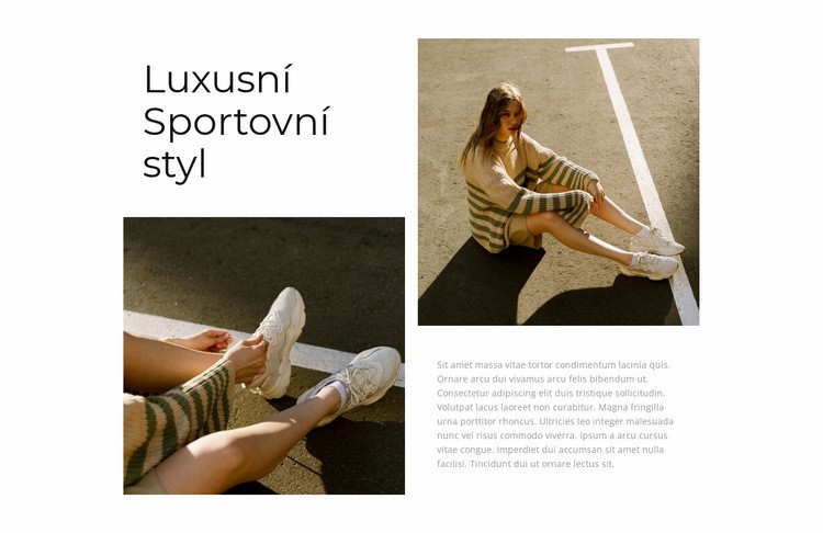 Luxusní sportovní styl Šablona CSS