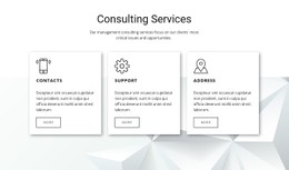 Our Consulting Features Ecommerce Website