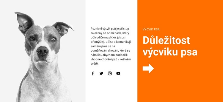 Výcvik psa ve škole Šablona HTML