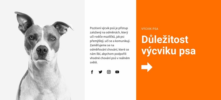 Výcvik psa ve škole Téma WordPress