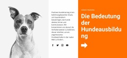 Hundetraining In Der Schule – Website-Mockup-Vorlage