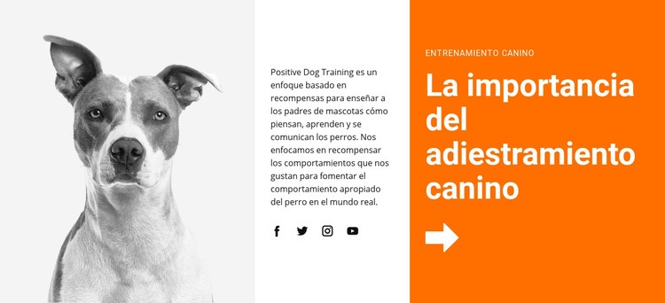 Adiestramiento de perros en la escuela Diseño de páginas web