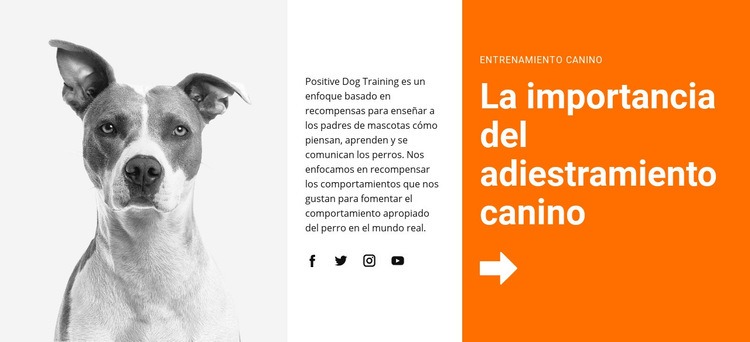 Adiestramiento de perros en la escuela Maqueta de sitio web